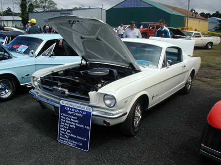 Newport Loyalty Days - 17