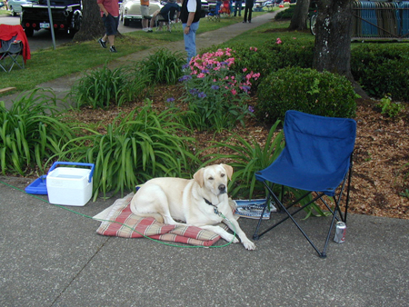 WOU Show 2006 - 01